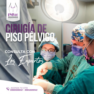 Cirugía de Prolapso Genital